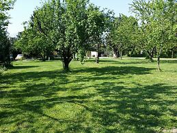 B&B L'Albero Cavo