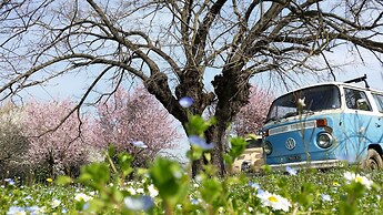 B&B L'Albero Cavo
