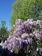 B&B L'Albero Cavo
