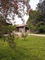 B&B L'Albero Cavo