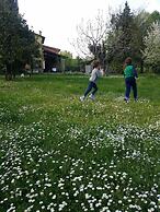 B&B L'Albero Cavo