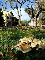 B&B L'Albero Cavo