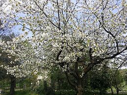 B&B L'Albero Cavo