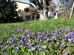B&B L'Albero Cavo