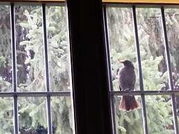 B&B L'Albero Cavo