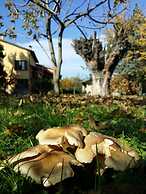 B&B L'Albero Cavo