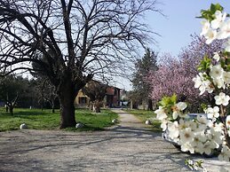 B&B L'Albero Cavo