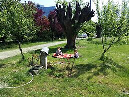 B&B L'Albero Cavo