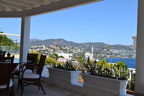 Elegant Villas 1 5