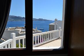 Elegant Villas 1 5