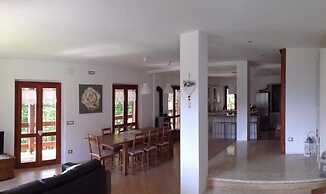 B&B White Rose