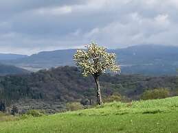 Agriturismo Bio Il Torrione