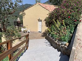 Les Asphodèles