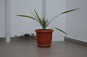 Alexys Residence 8