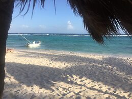 Hammock Heaven