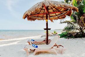 Hammock Heaven