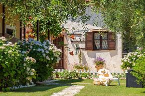 Anneta Studios