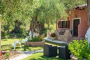 Anneta Studios