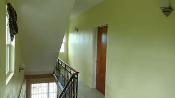 Cook's Estate