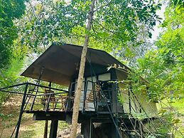 Ele Camp Udawalawa