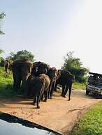 Ele Camp Udawalawa