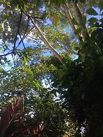 Hotel Green Mountain Turrialba