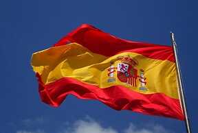 Bidrino Dream