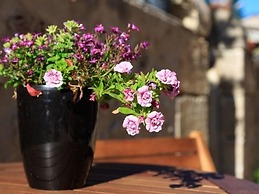 Le Coeur des Vignes