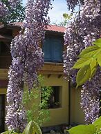 B&B Casa Mica Guesthouse