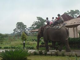 Musa Jungle Retreat