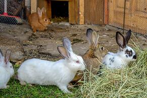 VeLa