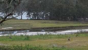 Tabourie Lake Motel