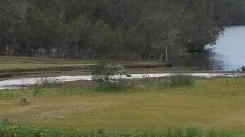 Tabourie Lake Motel