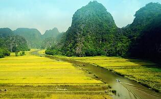 Tamcoc Golden Rice