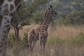 Inzalo Safari Lodge