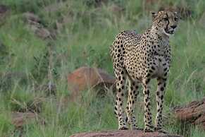 Inzalo Safari Lodge