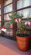 Nirvana Healing Center - Adults Only - Hostel