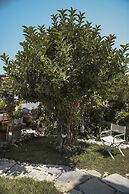 Alesta Hotel