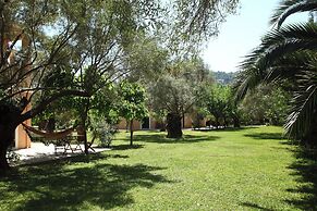 Anthias Garden