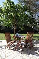 Anthias Garden