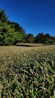 Village Park