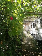 Manhong's Private Courtyard