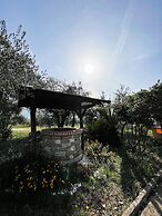 Bed and Breakfast Nero Buono