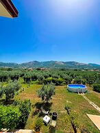 Bed and Breakfast Nero Buono