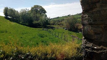 Cobden View