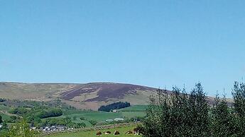Cobden View