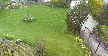 Cobden View
