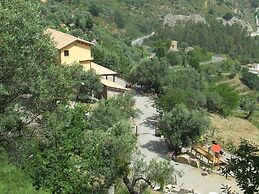 L'Uliveto