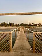 Tunis Lake View