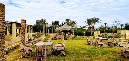 Tunis Lake View